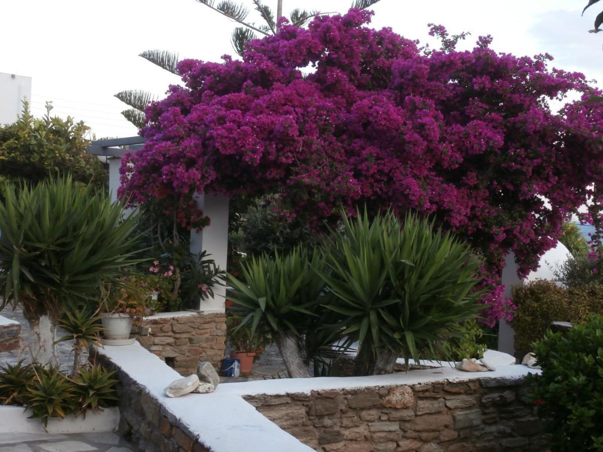 Galini Bungalows Kionia Esterno foto