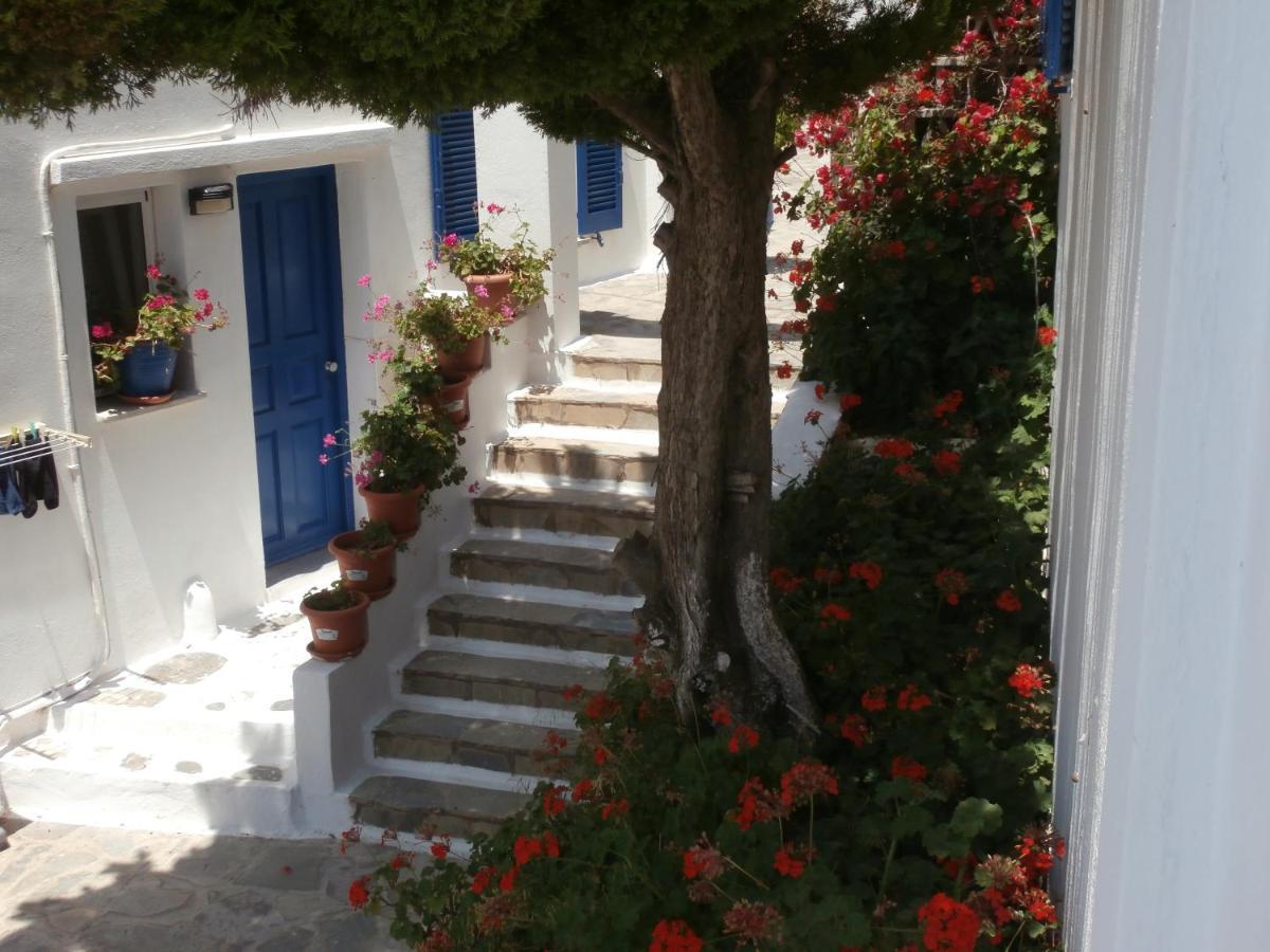 Galini Bungalows Kionia Esterno foto